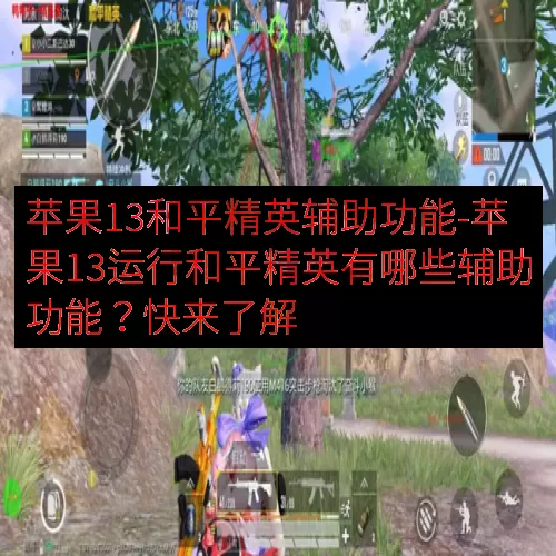 苹果13和平精英辅助功能-苹果13运行和平精英有哪些辅助功能