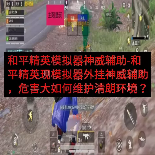 和平精英模拟器神威辅助-和平精英现模拟器外挂神威辅助，危害大